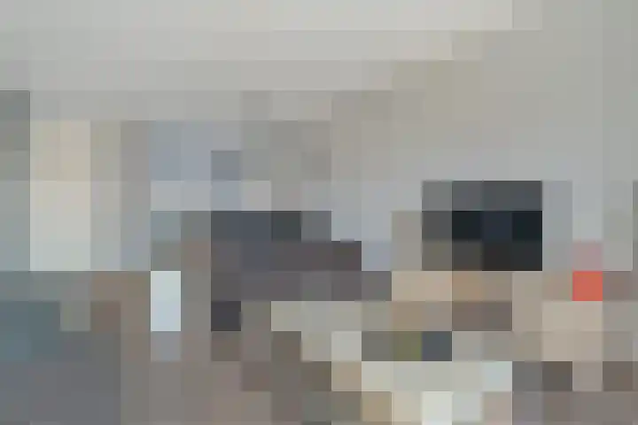 Stekelbaars 6 Nieuwleusen thumbnail 20