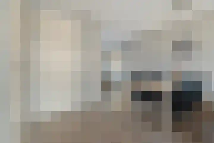 Stekelbaars 6 Nieuwleusen thumbnail 22