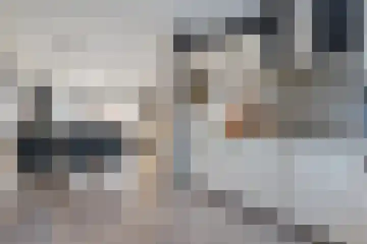 Stekelbaars 6 Nieuwleusen thumbnail 24