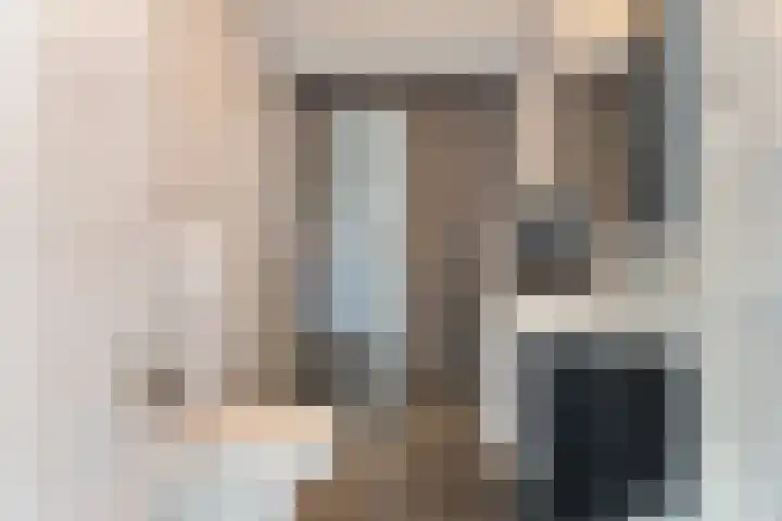Stekelbaars 6 Nieuwleusen thumbnail 31