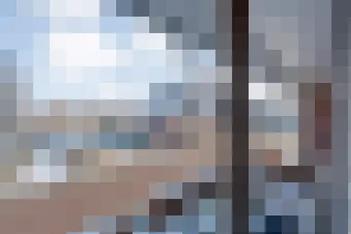 Stekelbaars 6 Nieuwleusen thumbnail 37