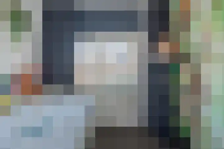 Stekelbaars 6 Nieuwleusen thumbnail 38