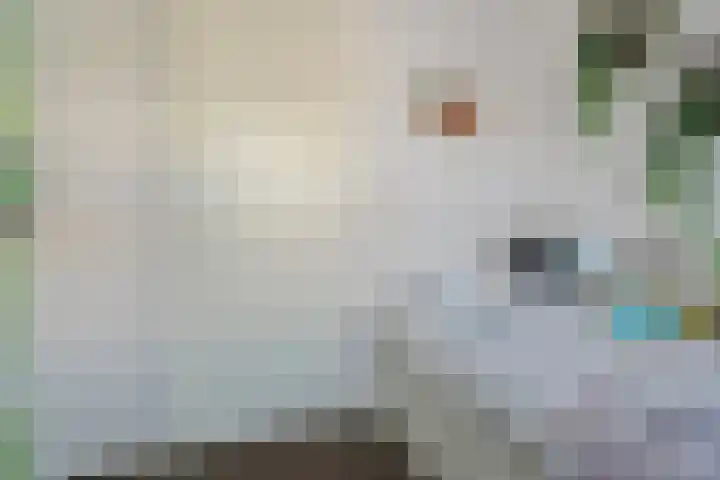 Stekelbaars 6 Nieuwleusen thumbnail 39