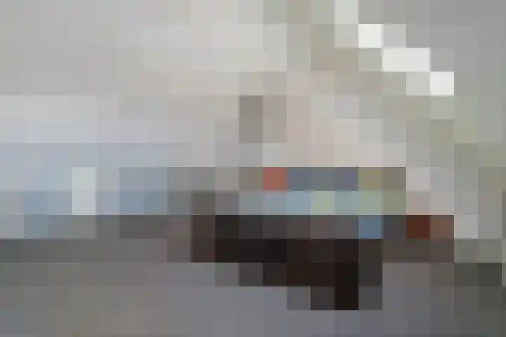 Stekelbaars 6 Nieuwleusen thumbnail 40
