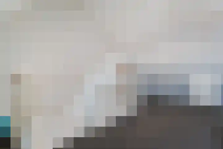 Stekelbaars 6 Nieuwleusen thumbnail 43