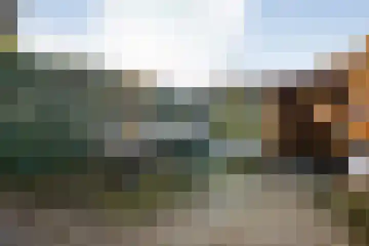 Stekelbaars 6 Nieuwleusen thumbnail 44
