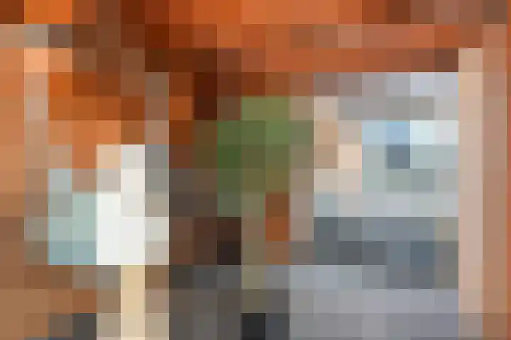 Stekelbaars 6 Nieuwleusen thumbnail 49