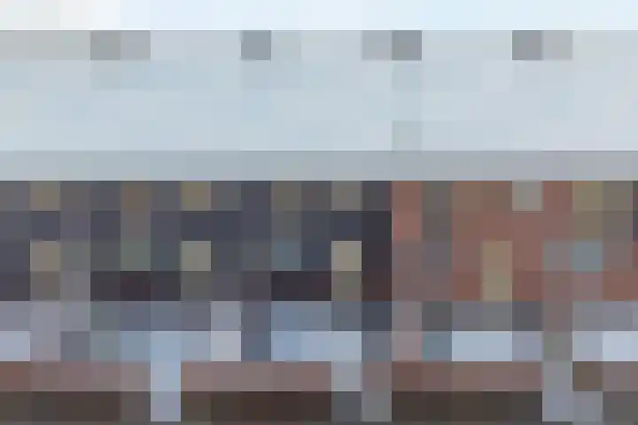 Stekelbaars 6 Nieuwleusen thumbnail 5