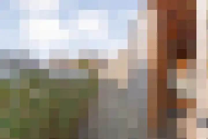 Stekelbaars 6 Nieuwleusen thumbnail 50