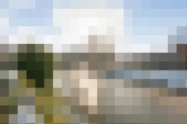 Stekelbaars 6 Nieuwleusen thumbnail 54