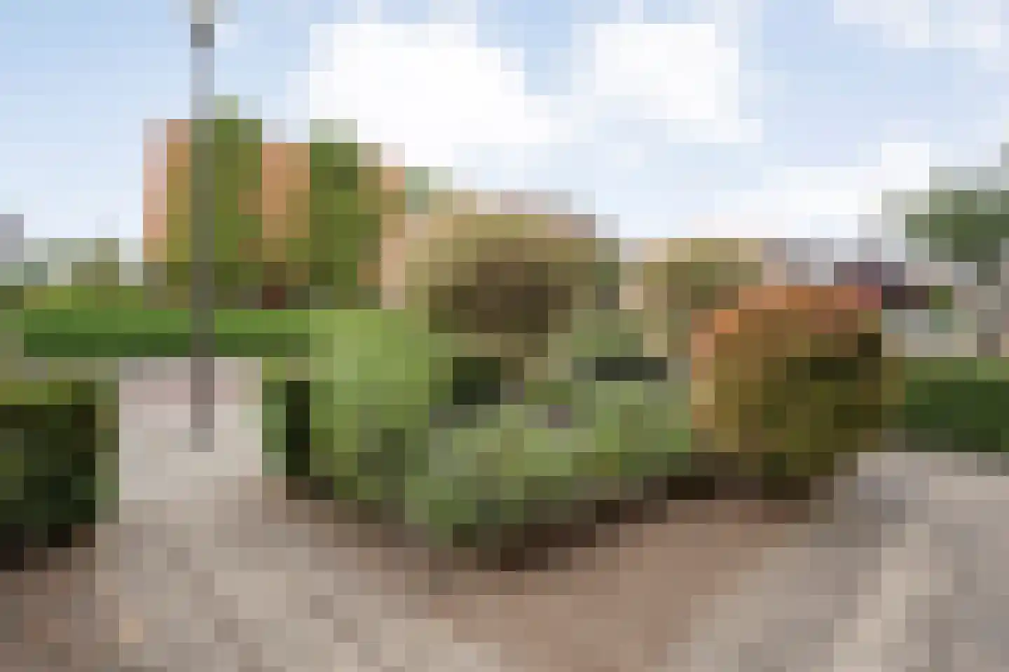 Stekelbaars 62 A Nieuwleusen thumbnail 12