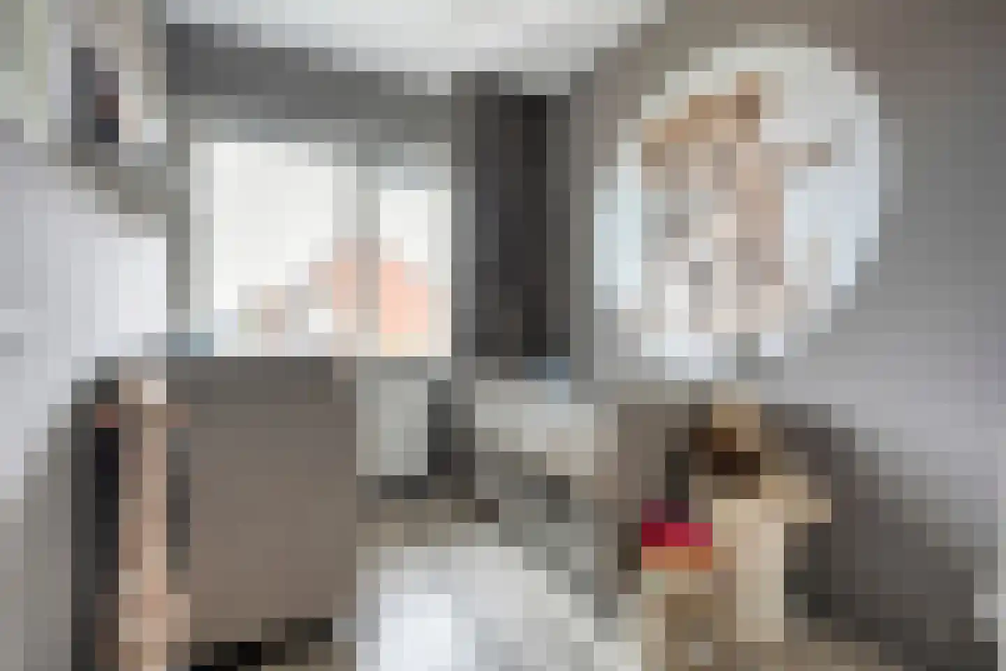 Stekelbaars 62 A Nieuwleusen thumbnail 23