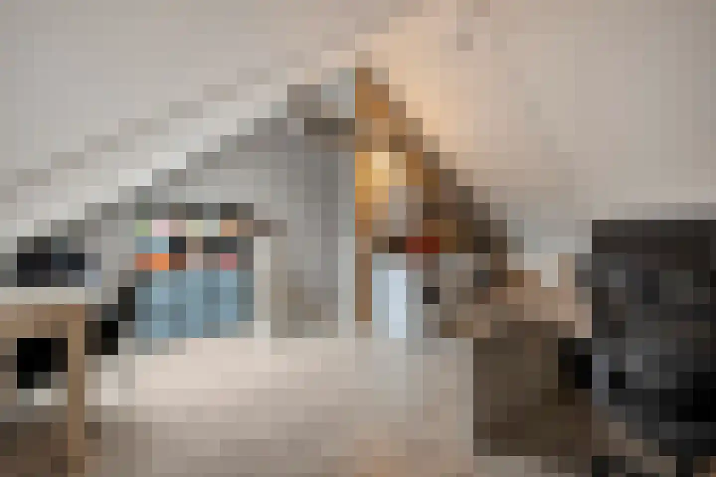 Stekelbaars 62 A Nieuwleusen thumbnail 29