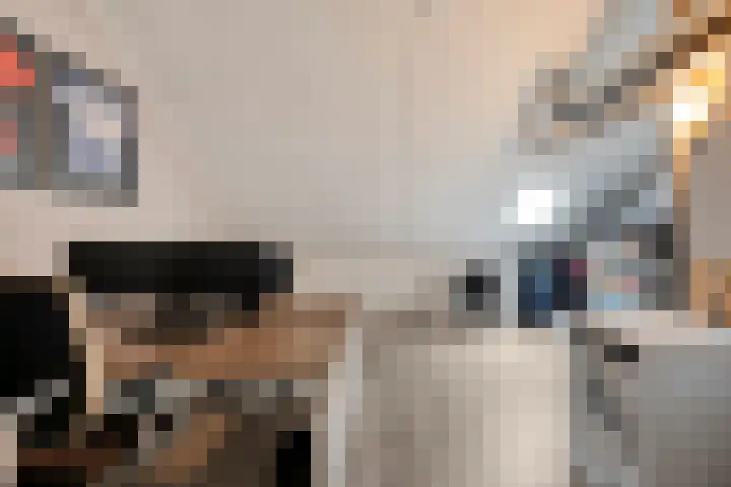 Stekelbaars 62 A Nieuwleusen thumbnail 31