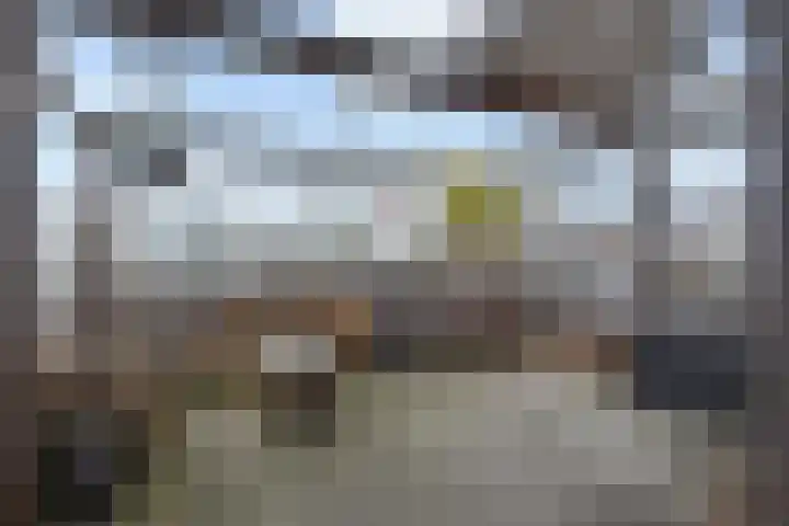 Stekelbaarssingel 5 Den Haag thumbnail 36