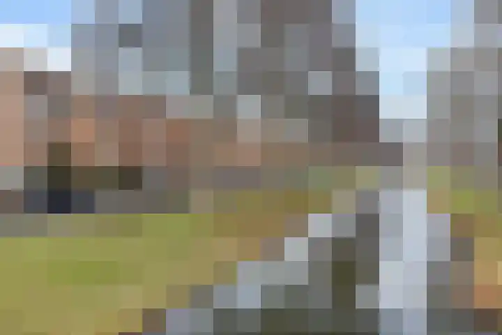 Stekelbaarssingel 5 Den Haag thumbnail 55