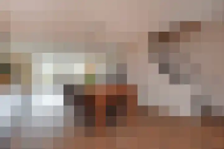 Stekelbaarssingel 5 Den Haag thumbnail 9