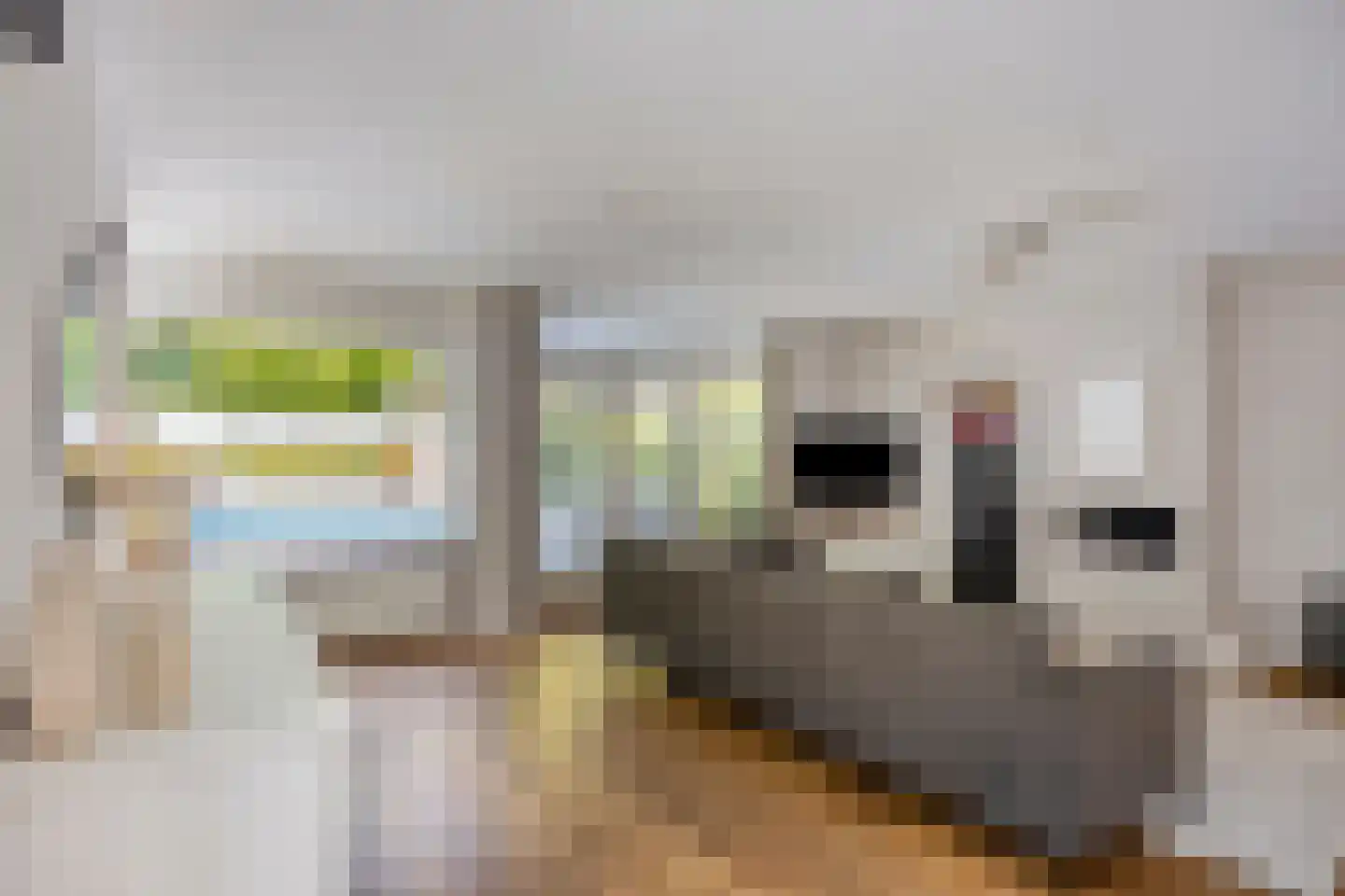 Stekelbaarssloot 47 Zoetermeer thumbnail 11