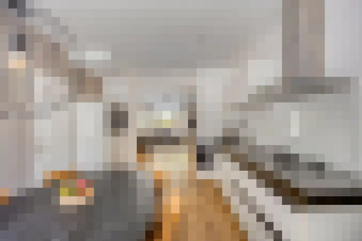 Stekelbaarssloot 47 Zoetermeer thumbnail 17