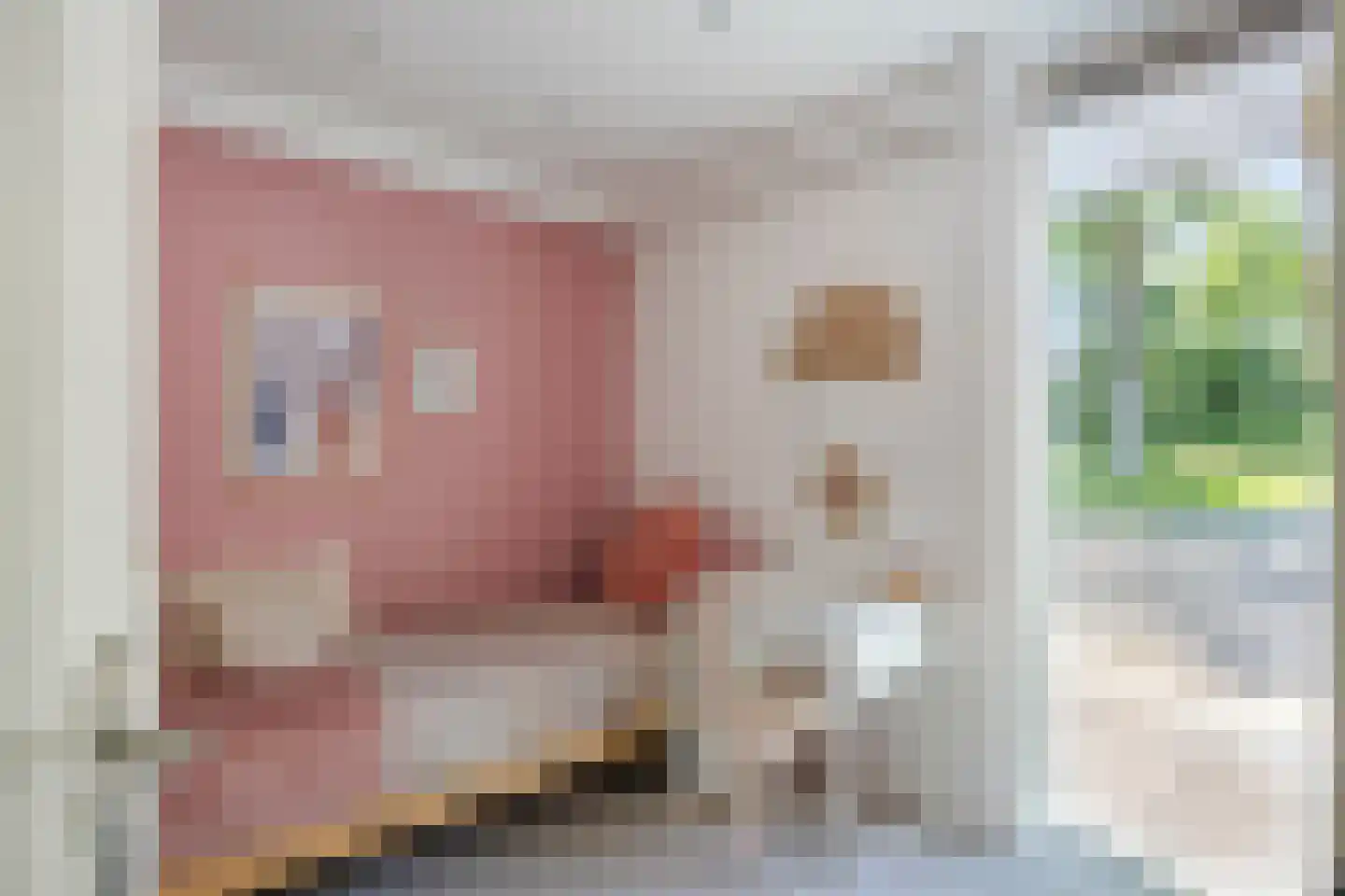 Stekelbaarssloot 47 Zoetermeer thumbnail 30