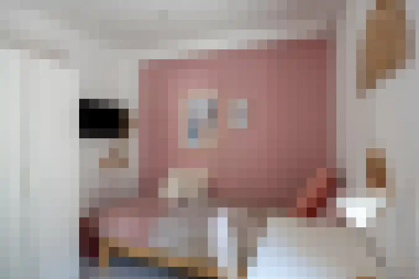 Stekelbaarssloot 47 Zoetermeer thumbnail 31