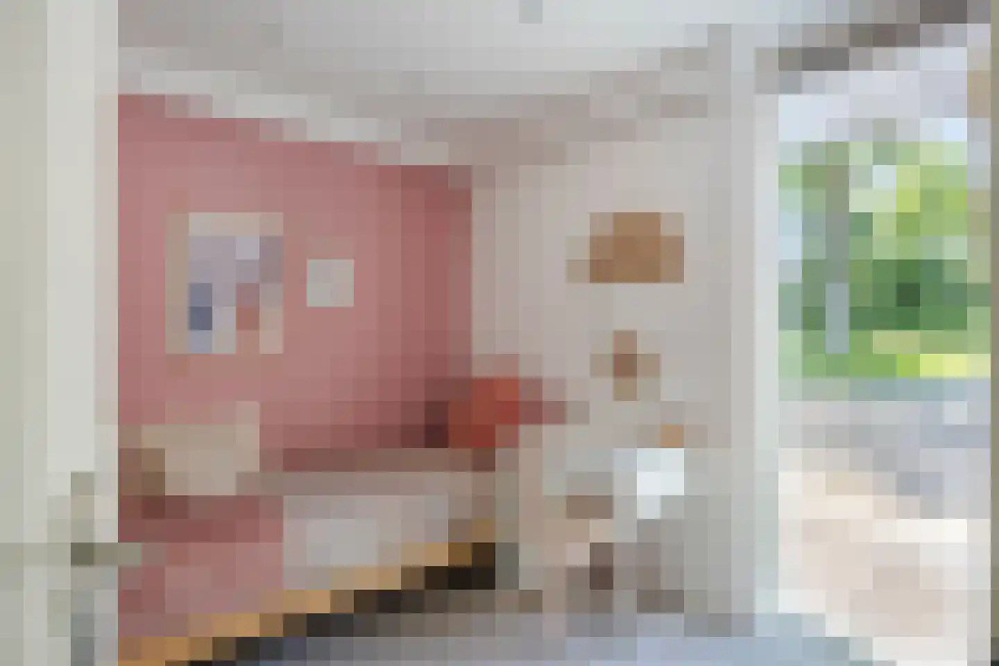 Stekelbaarssloot 47 Zoetermeer thumbnail 32