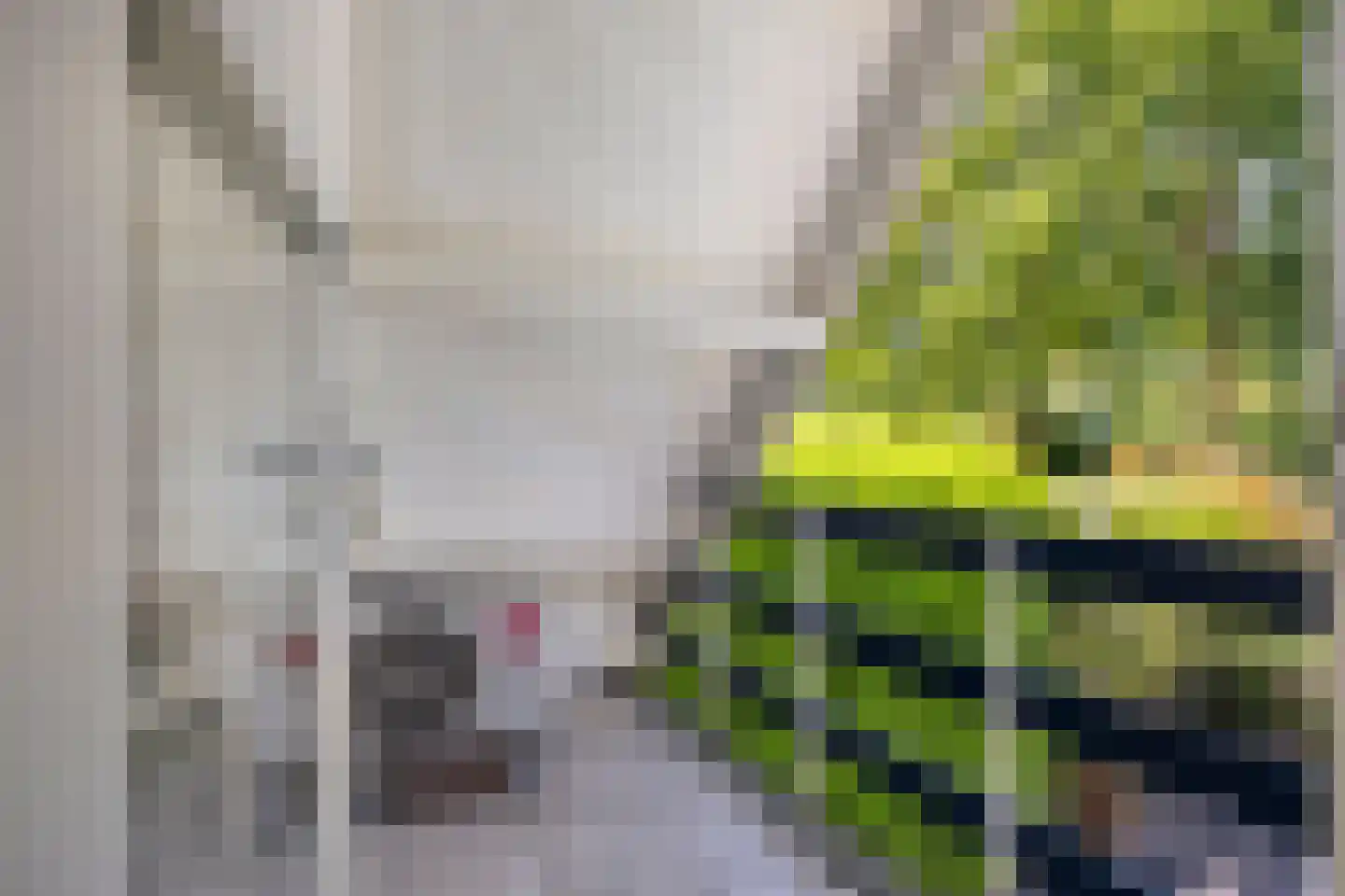 Stekelbaarssloot 47 Zoetermeer thumbnail 38