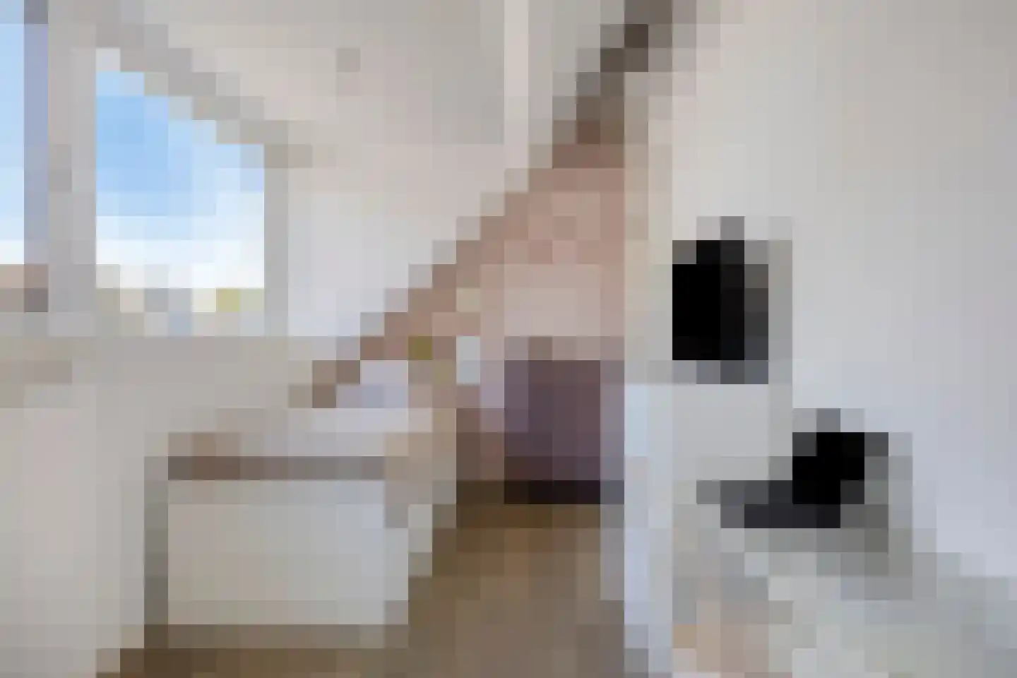 Stekelbaarssloot 47 Zoetermeer thumbnail 48