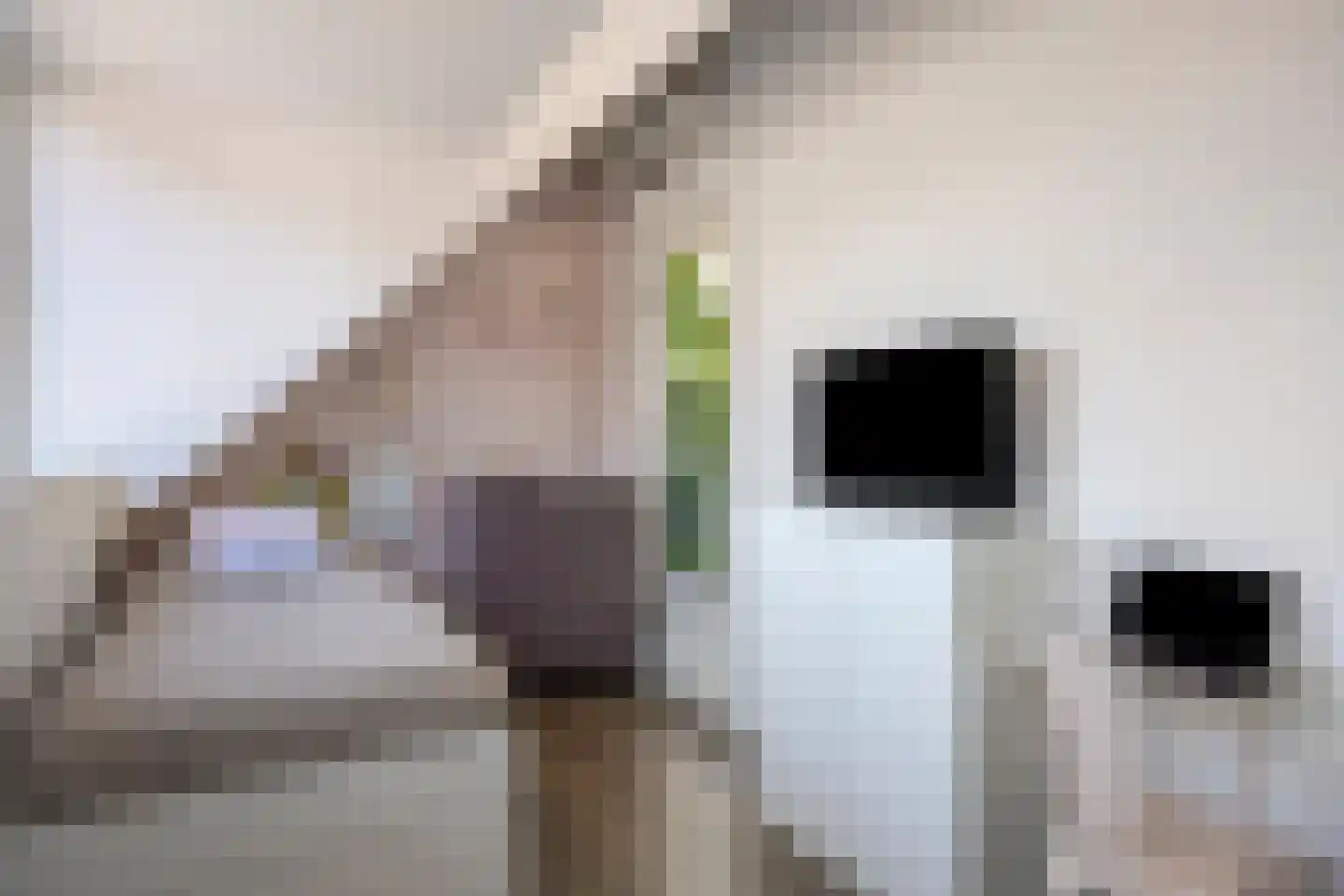 Stekelbaarssloot 47 Zoetermeer thumbnail 49