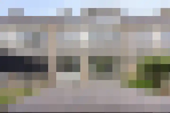 Stekelbrem 43 Rotterdam thumbnail 10