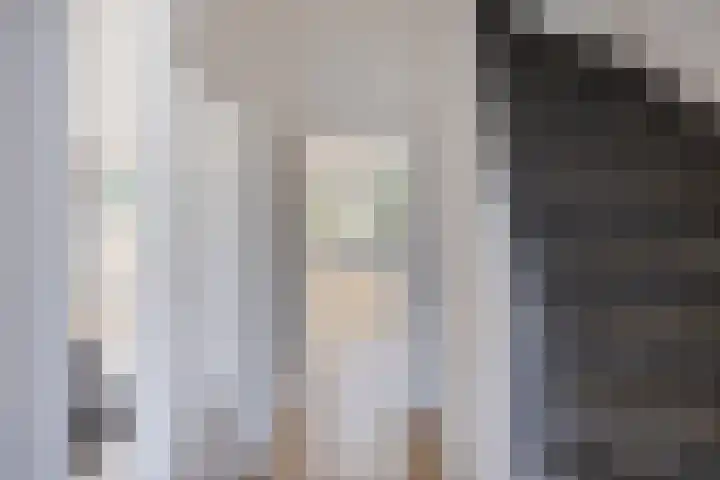 Stekelbrem 43 Rotterdam thumbnail 12