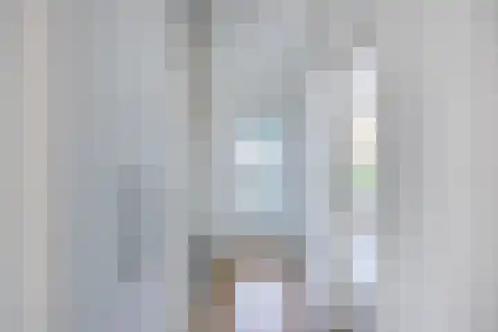 Stekelbrem 43 Rotterdam thumbnail 13