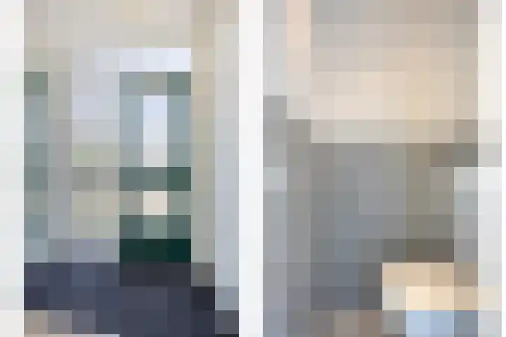 Stekelbrem 43 Rotterdam thumbnail 14