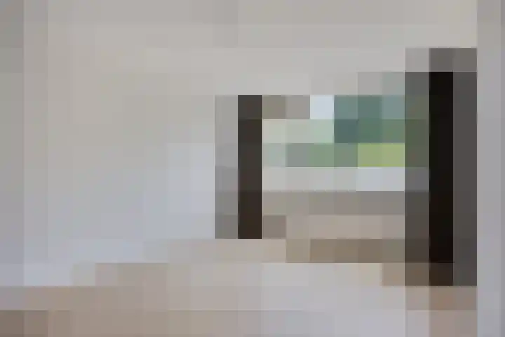 Stekelbrem 43 Rotterdam thumbnail 17