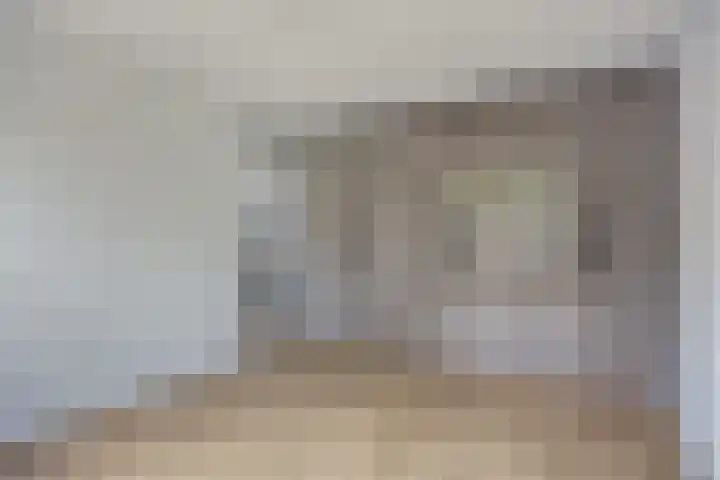 Stekelbrem 43 Rotterdam thumbnail 19