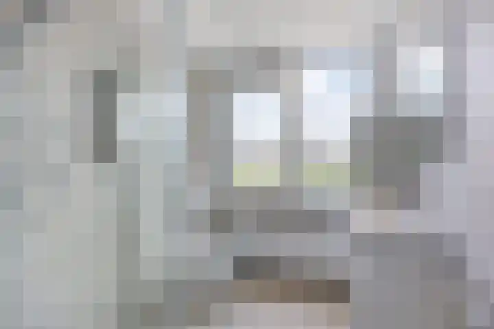 Stekelbrem 43 Rotterdam thumbnail 20