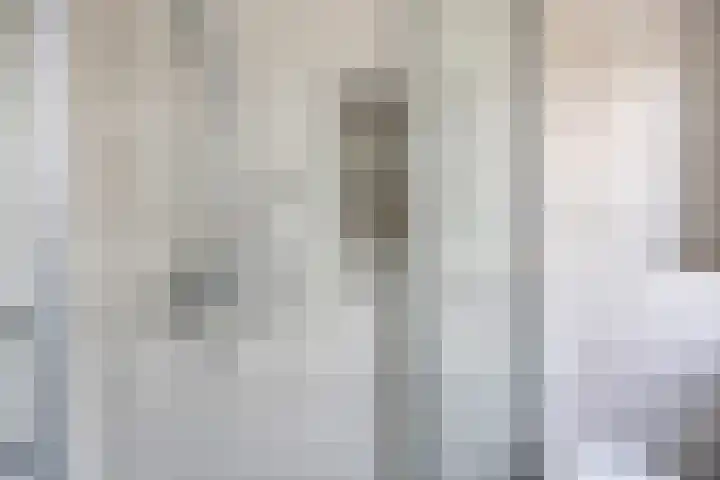 Stekelbrem 43 Rotterdam thumbnail 21