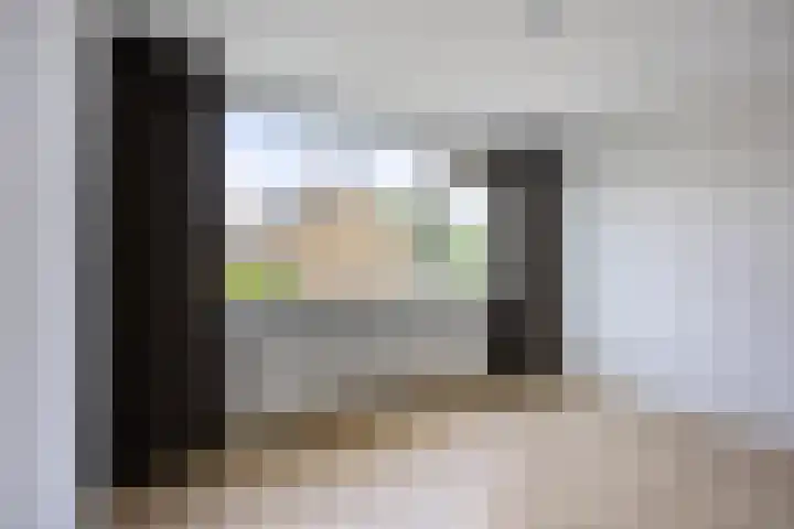 Stekelbrem 43 Rotterdam thumbnail 23
