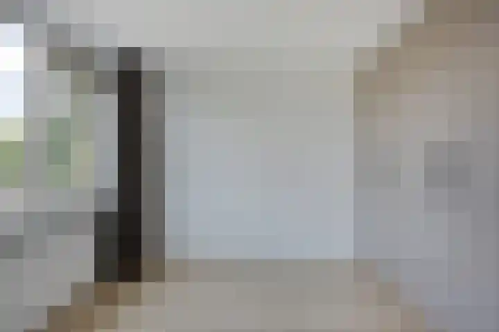 Stekelbrem 43 Rotterdam thumbnail 24