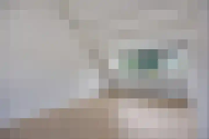 Stekelbrem 43 Rotterdam thumbnail 32