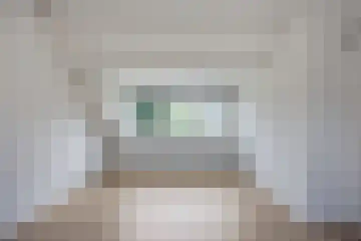 Stekelbrem 43 Rotterdam thumbnail 33
