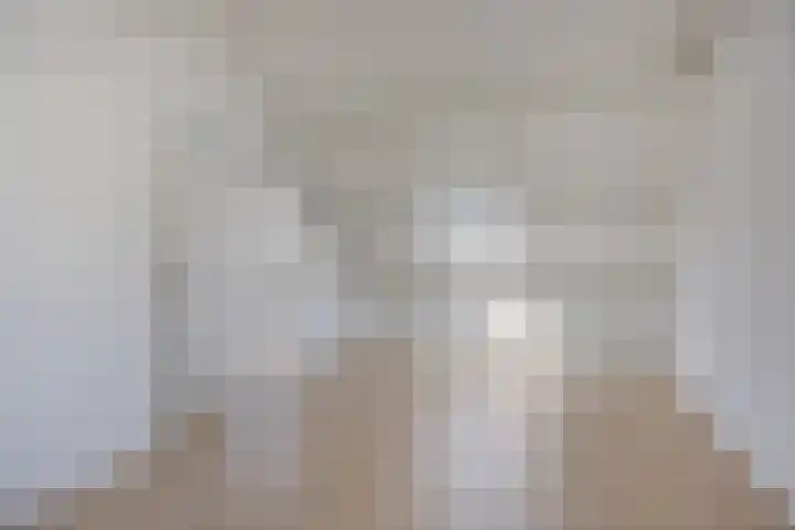 Stekelbrem 43 Rotterdam thumbnail 34
