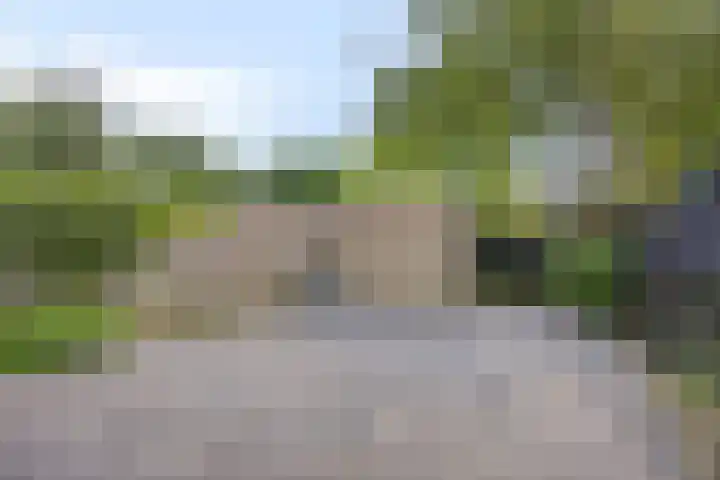 Stekelbrem 43 Rotterdam thumbnail 35