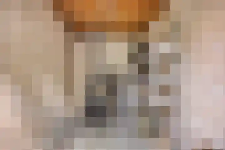 Stekelbrem 43 Rotterdam thumbnail 37