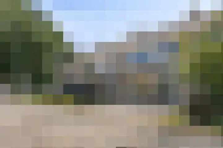 Stekelbrem 43 Rotterdam thumbnail 38