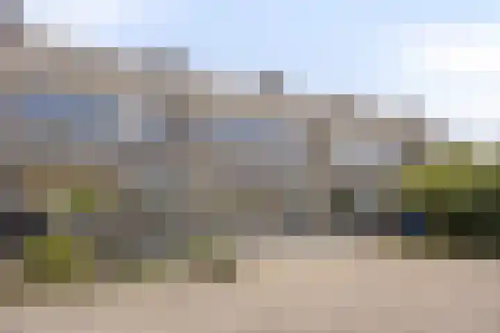Stekelbrem 43 Rotterdam thumbnail 39