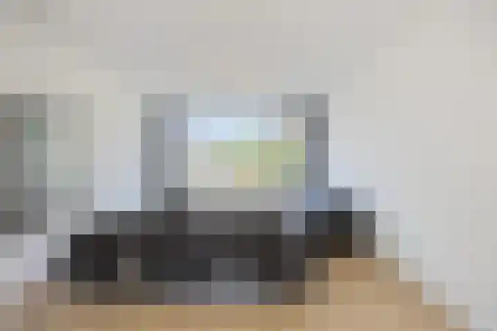 Stekelbrem 43 Rotterdam thumbnail 4