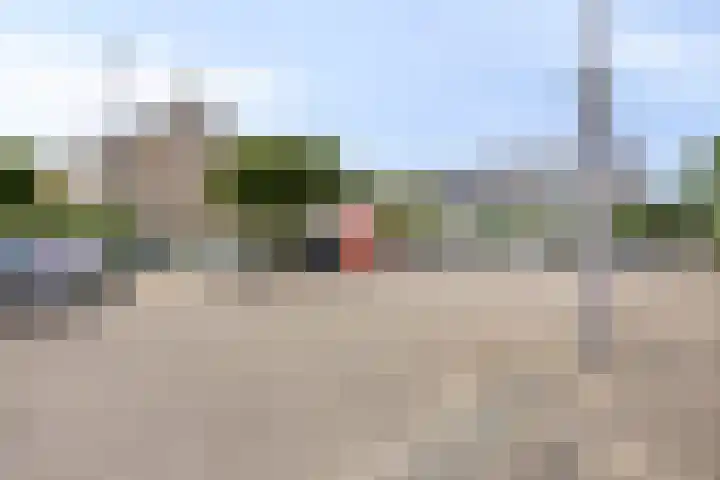 Stekelbrem 43 Rotterdam thumbnail 41
