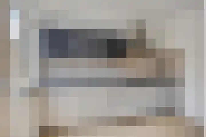 Stekelbrem 43 Rotterdam thumbnail 5