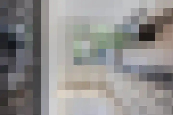 Stekelbrem 43 Rotterdam thumbnail 6